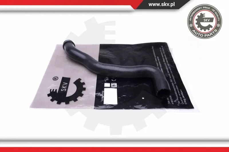 Radiator Hose (43SKV653)