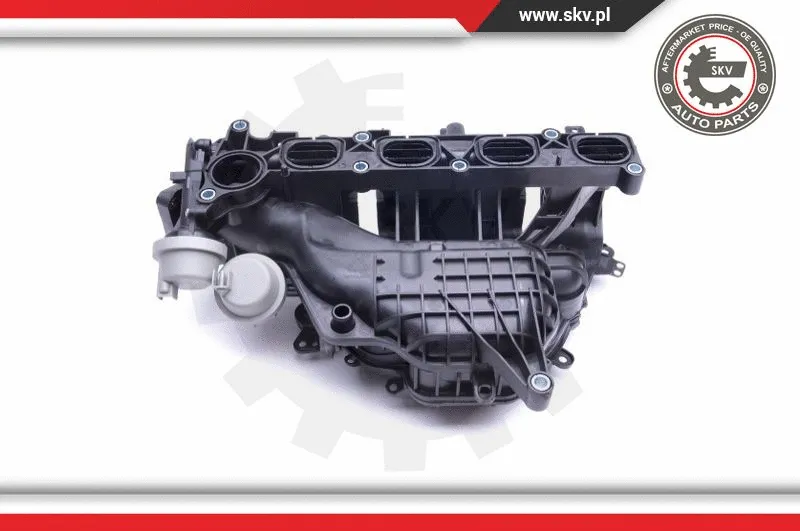 Intake Manifold Module