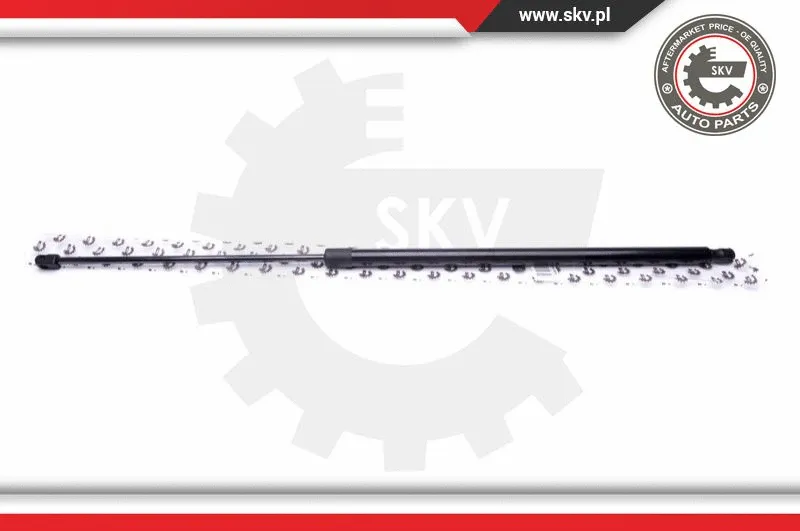 Gas Spring, boot/cargo area