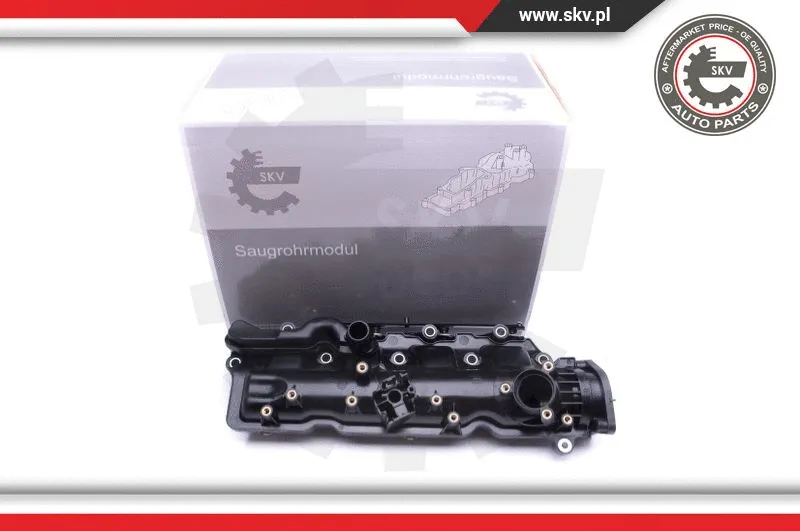 Intake Manifold Module (49SKV005)