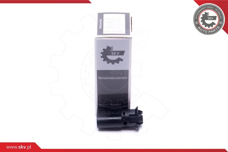 Sensor, exterior temperature (17SKV700)
