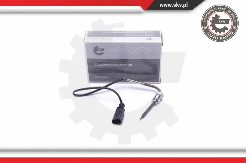 Sensor, exhaust gas temperature (30SKV421)