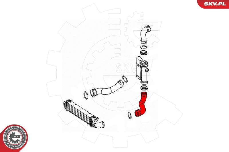 Charge Air Hose