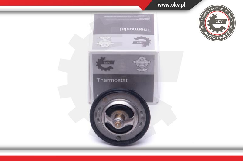 Thermostat, coolant (20SKV131)