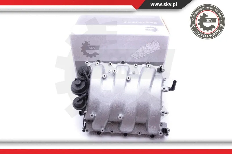 Intake Manifold Module (49SKV013)