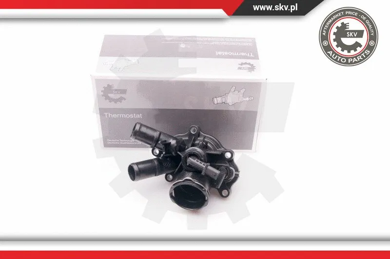 Thermostat, coolant