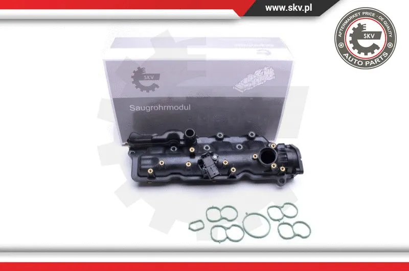 Intake Manifold Module (49SKV024)