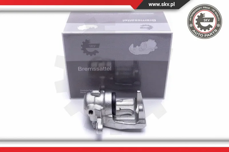 Brake Caliper (55SKV504)