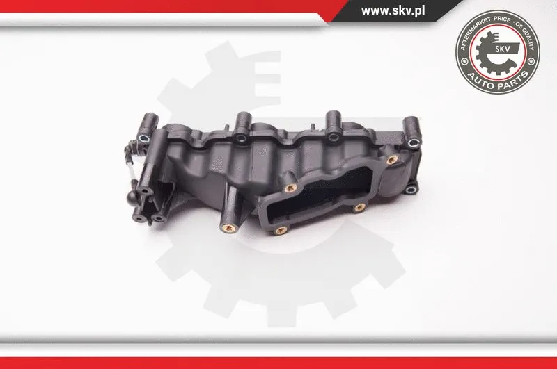 Intake Manifold Module