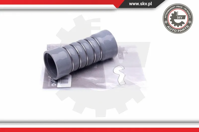 Charge Air Hose (24SKV728)