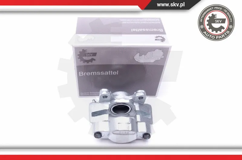 Brake Caliper (45SKV891)