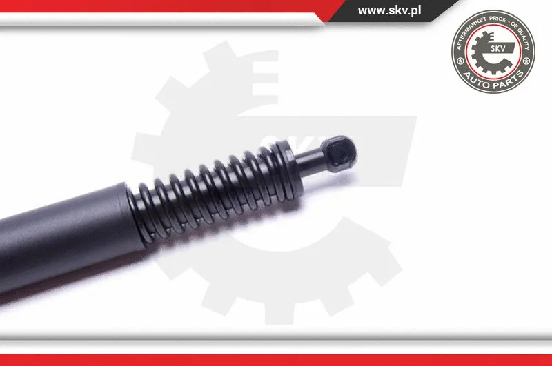 Gas Spring, boot/cargo area