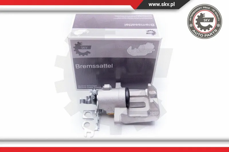 Brake Caliper (42SKV044)