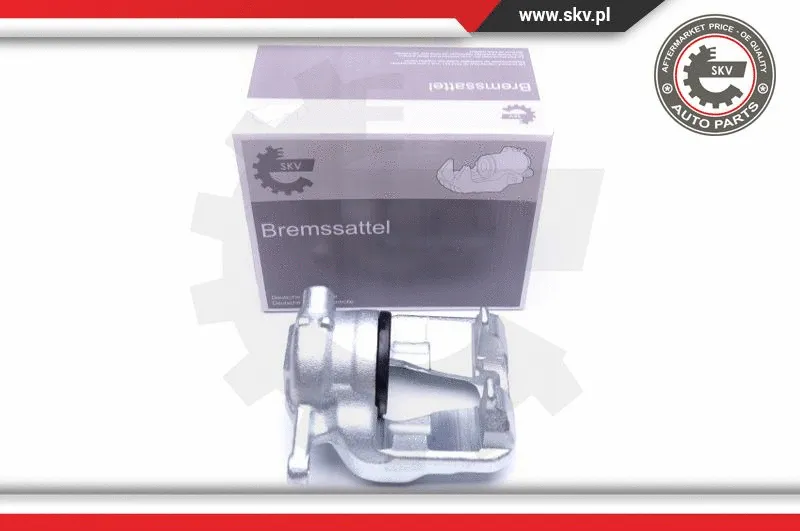Brake Caliper (44SKV272)