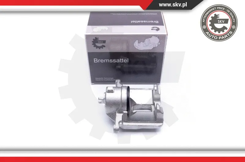 Brake Caliper (23SKV496)