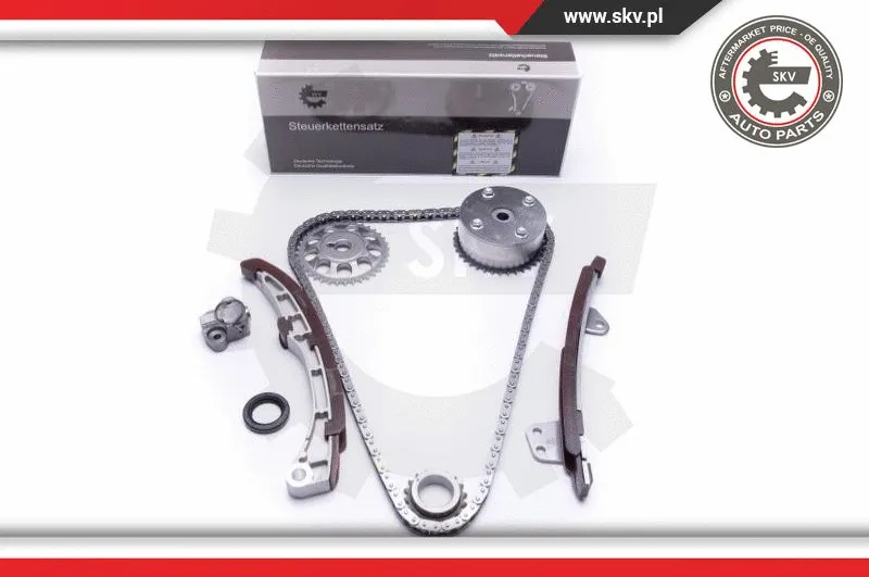 Timing Chain Kit (21SKV185)