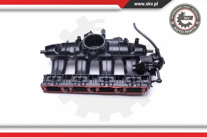 Intake Manifold Module