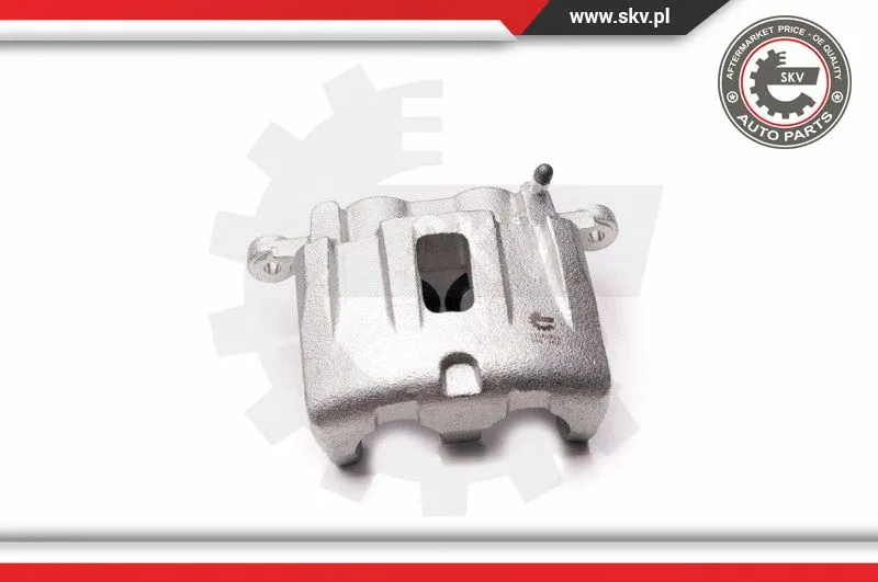 Brake Caliper (23SKV922)