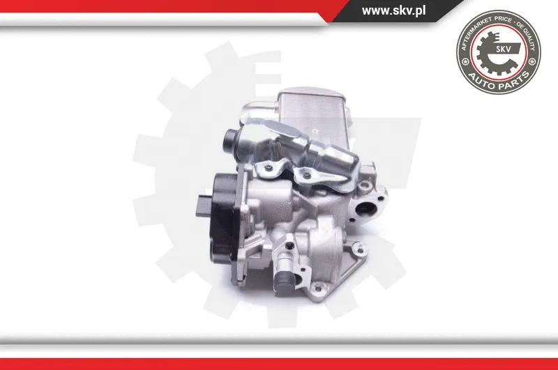 EGR Valve