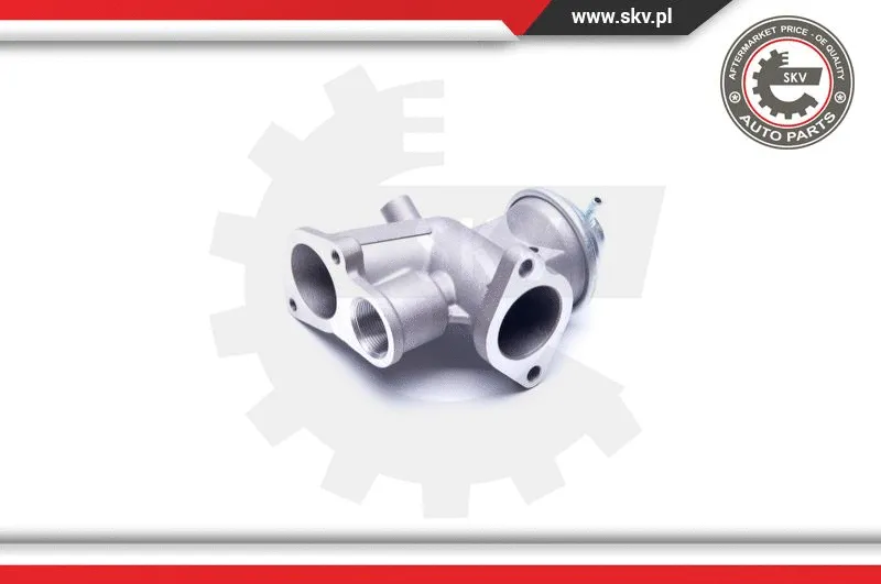 EGR Valve