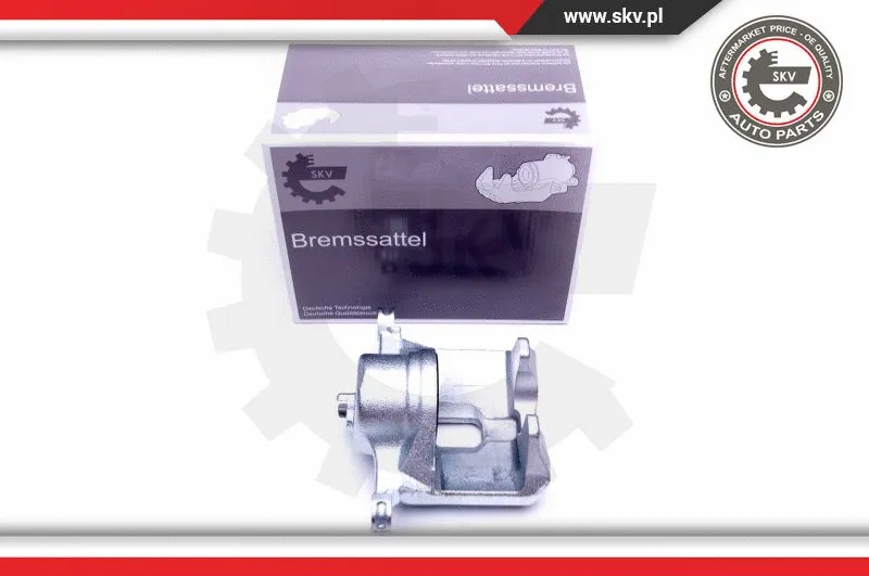 Brake Caliper (42SKV692)