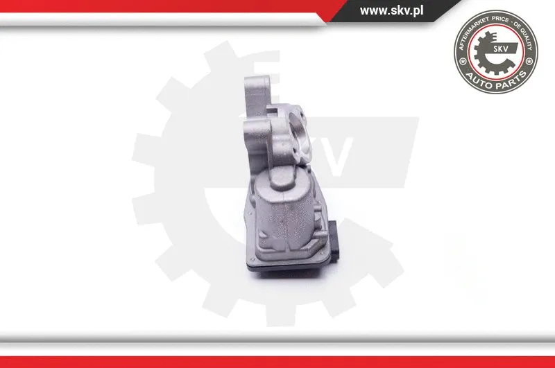 EGR Valve