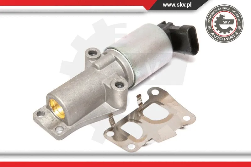 EGR Valve