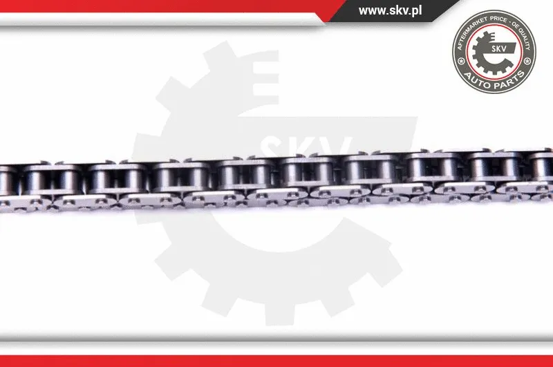 Timing Chain Kit