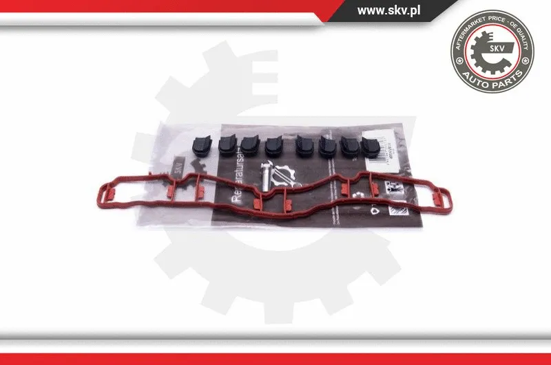Repair Kit, intake manifold module (49SKV514)