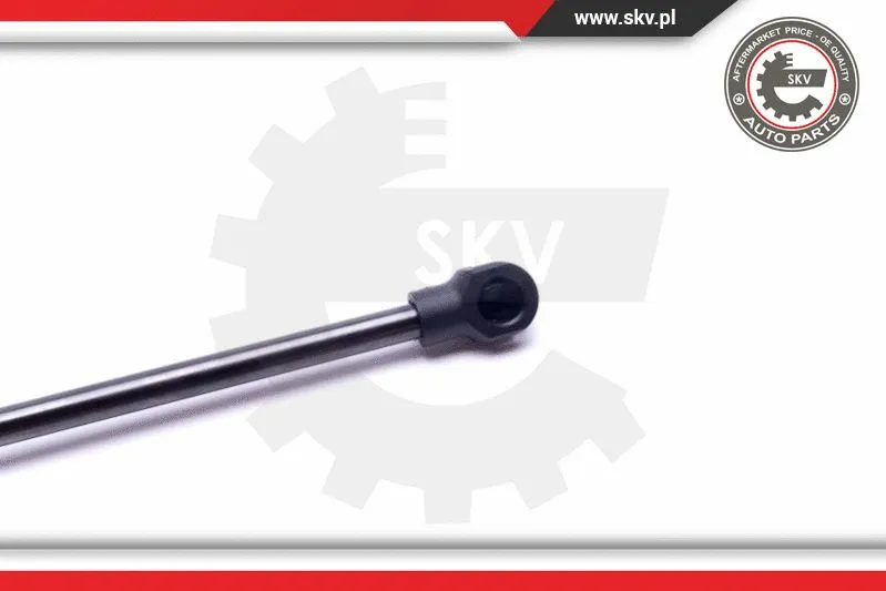 Gas Spring, boot/cargo area