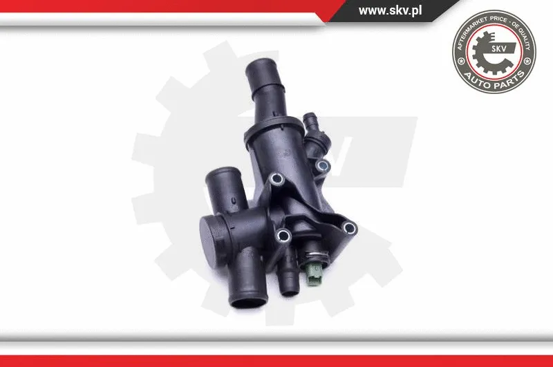 Thermostat, coolant
