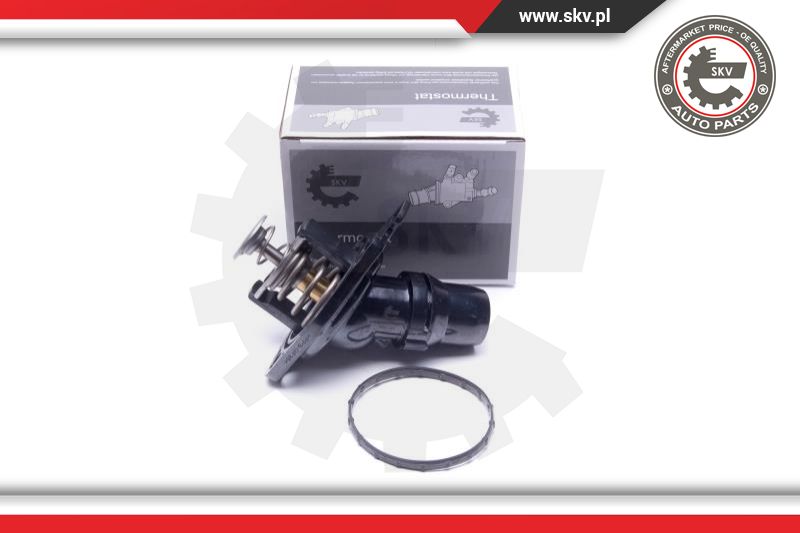 Thermostat, coolant (20SKV195)