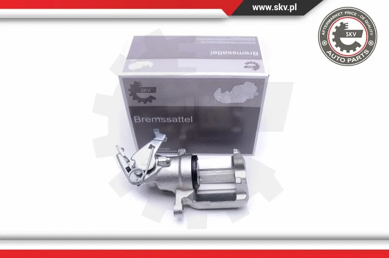 Brake Caliper (50SKV223)