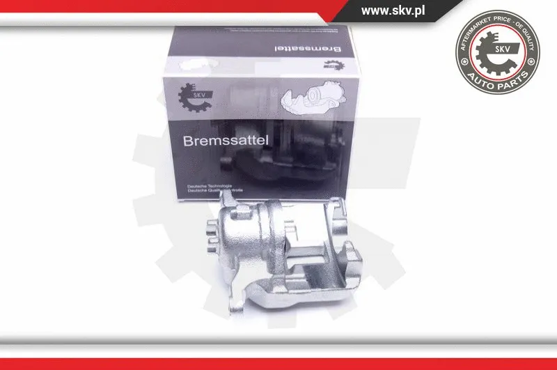 Brake Caliper (44SKV971)