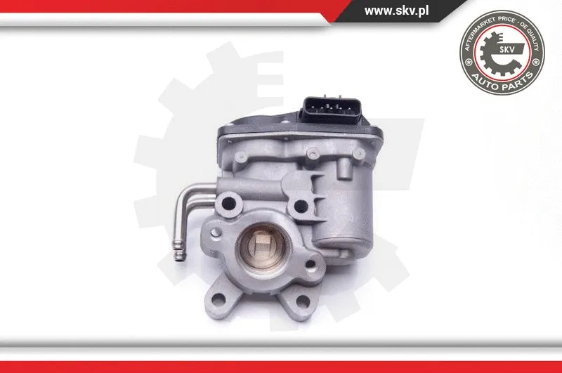 EGR Valve (14SKV102)