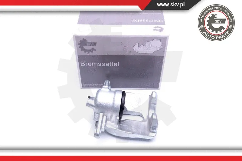 Brake Caliper (42SKV941)