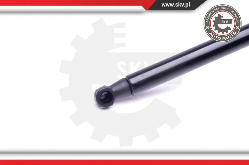 Gas Spring, boot/cargo area