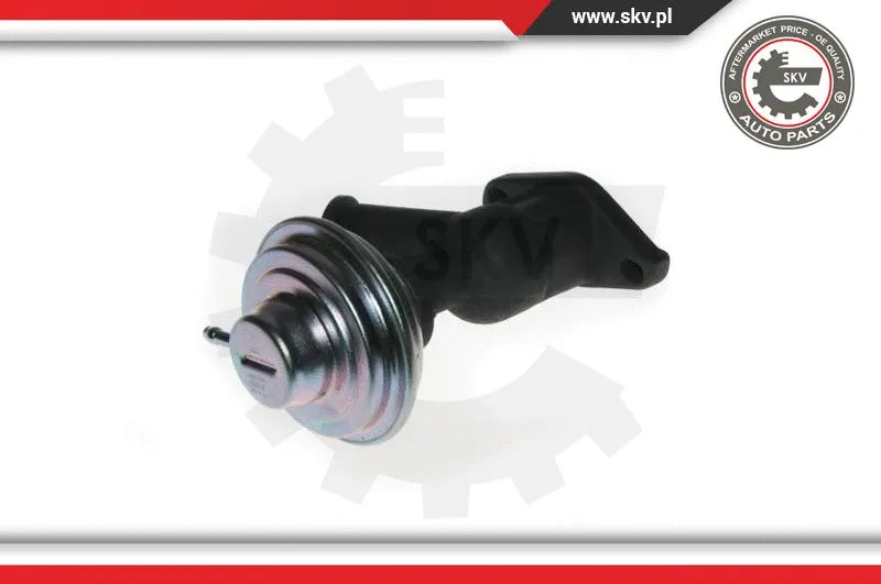 EGR Valve (14SKV077)