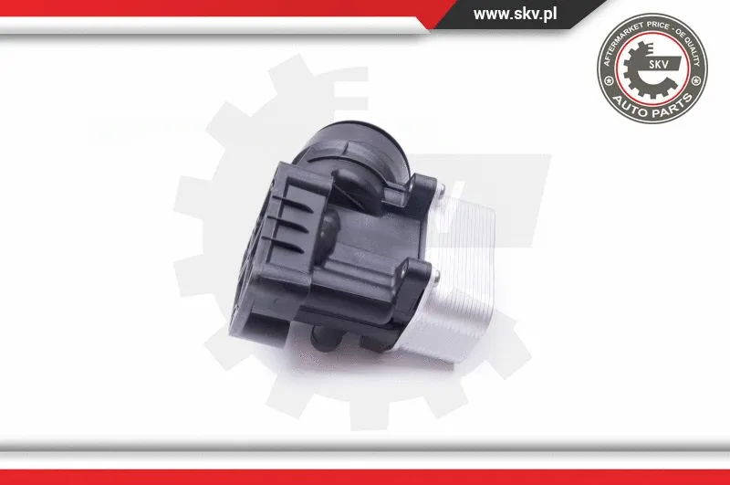 Housing, oil filter (31SKV054)