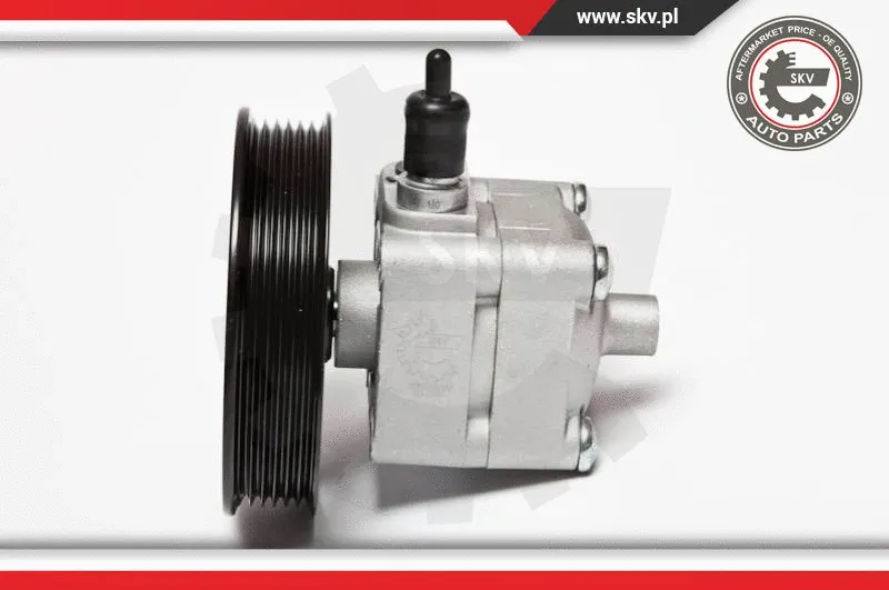 Hydraulic Pump, steering (10SKV033)