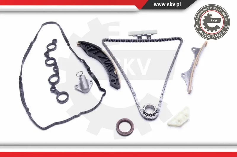 Timing Chain Kit