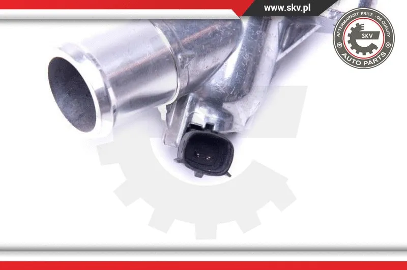 Thermostat, coolant