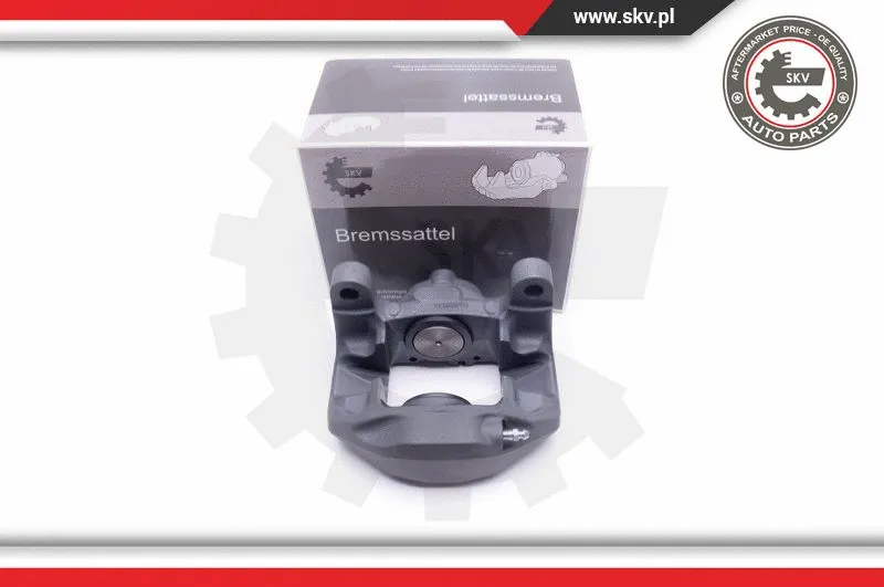 Brake Caliper (42SKV414)