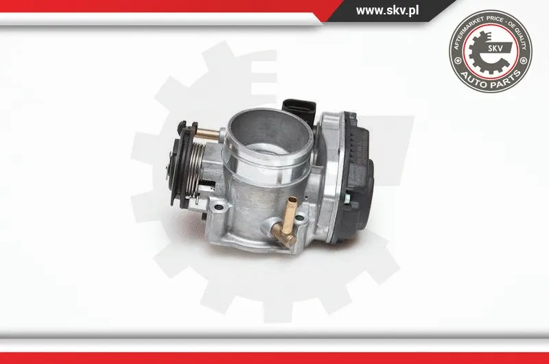 Throttle Body