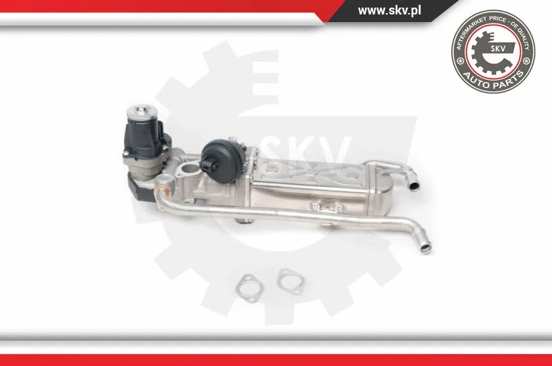 EGR Valve