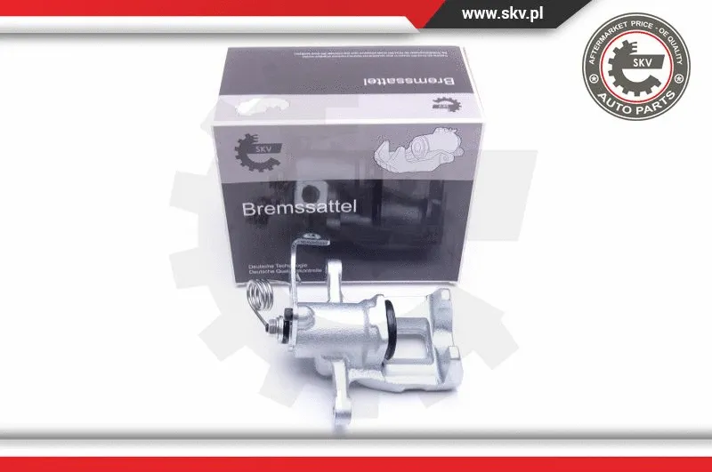 Brake Caliper (44SKV343)