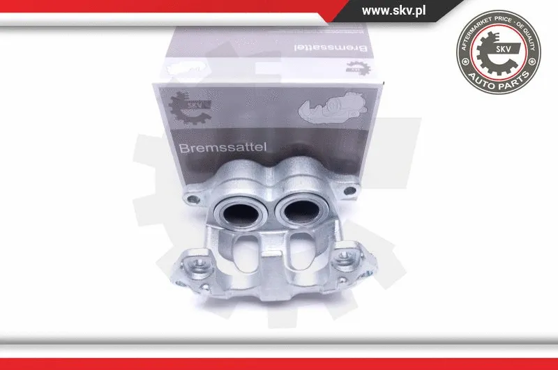 Brake Caliper (46SKV091)