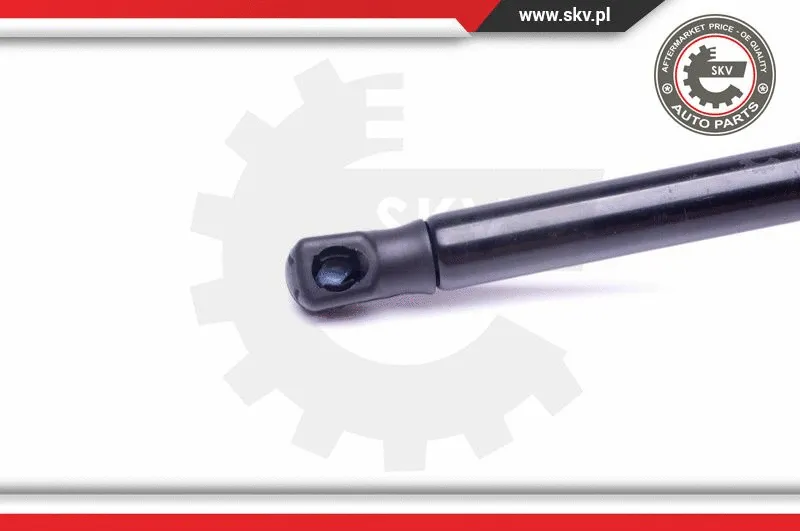 Gas Spring, boot/cargo area