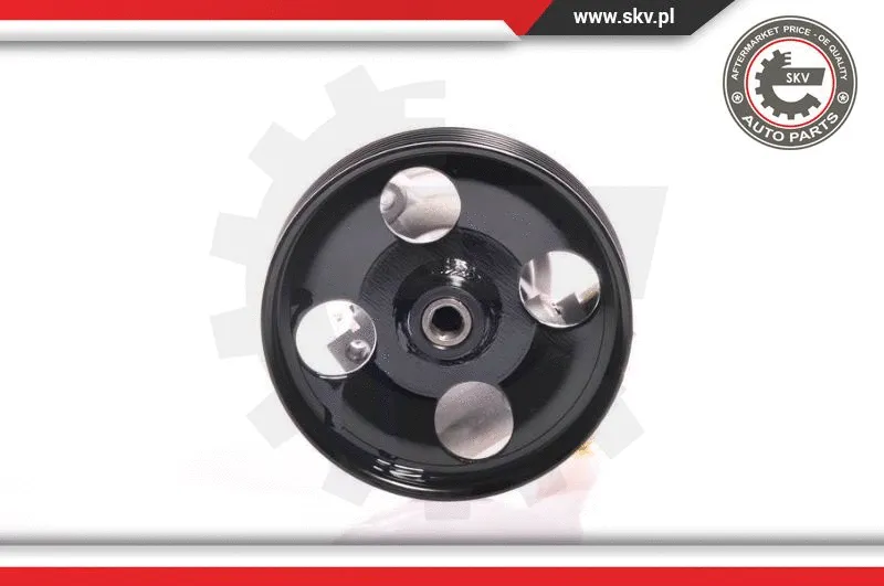 Hydraulic Pump, steering (10SKV156)