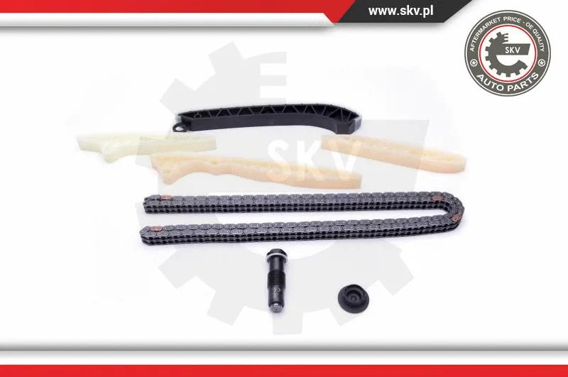 Timing Chain Kit